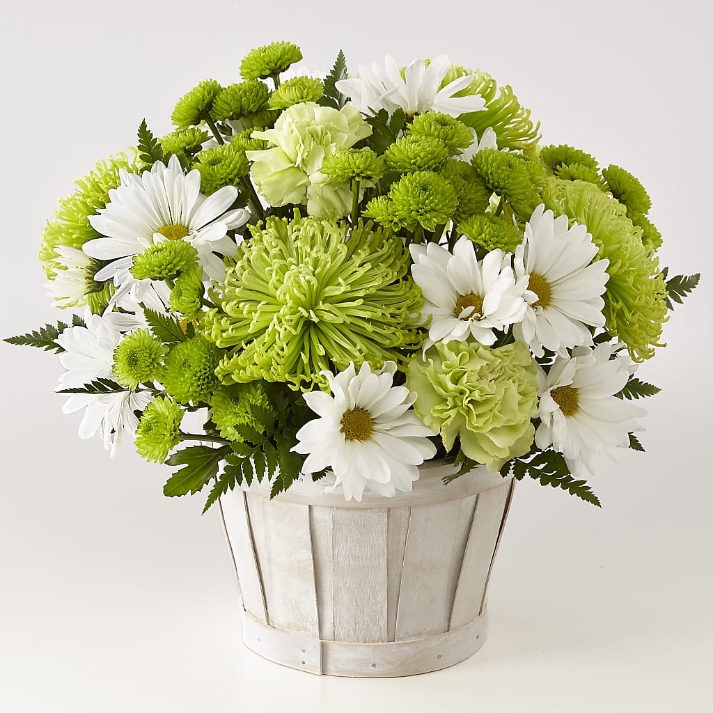Lucky Charm Basket (Standard) – Floristo Bermeo Ii, Big Lake MN