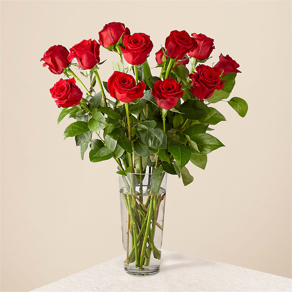 Long Stem Red Rose Bouquet – Floristo Bermeo Ii, Big Lake MN