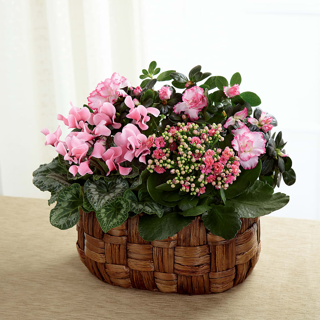 Pink Assortment – Floristo Bermeo Ii, Big Lake MN
