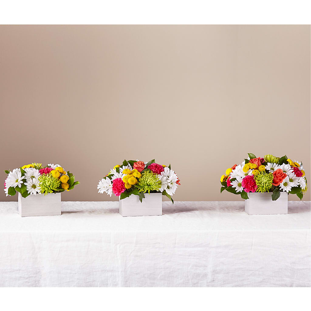 Sorbet Bouquet – Floristo Bermeo Ii, Big Lake MN