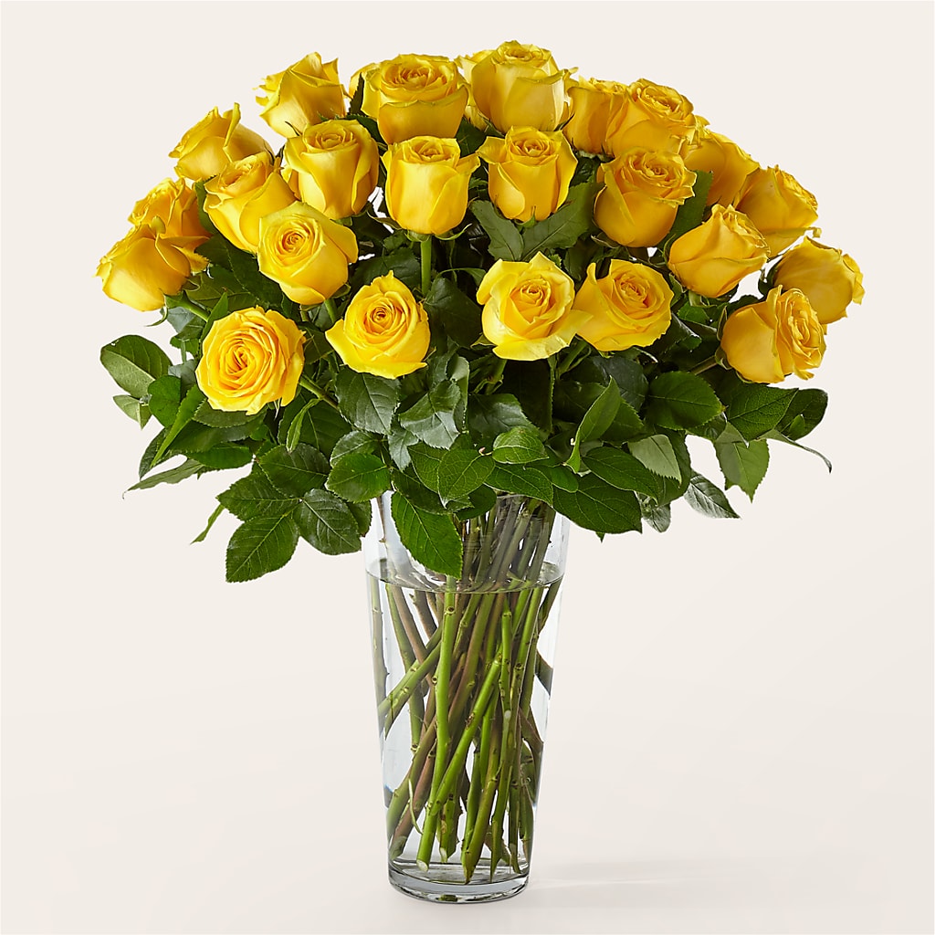 Long Stem Yellow Rose Bouquet – Floristo Bermeo Ii, Big Lake MN