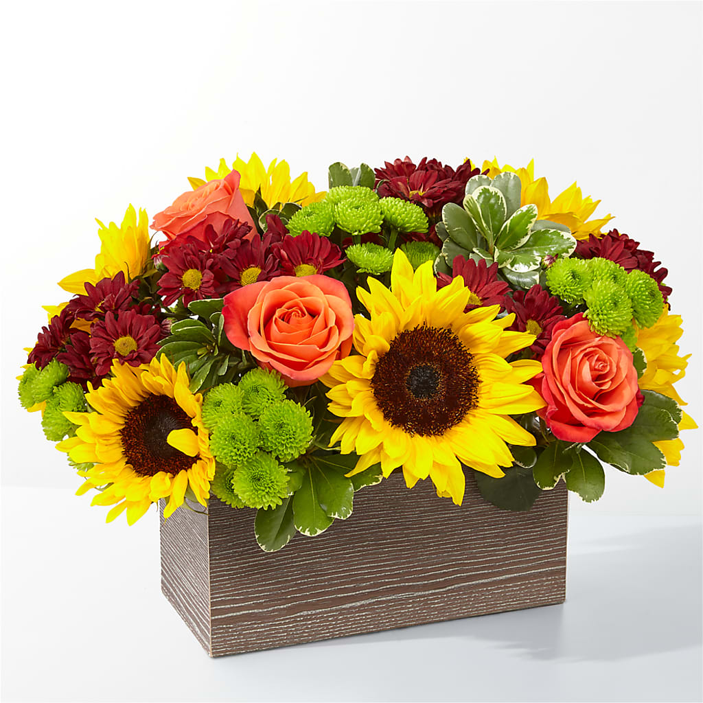 Happy Harvest Garden – Floristo Bermeo Ii, Big Lake MN