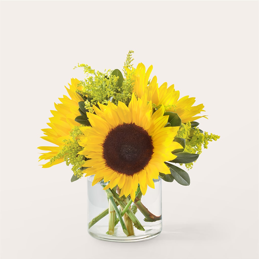 Beaming Sunflower Bouquet – Floristo Bermeo Ii, Big Lake MN