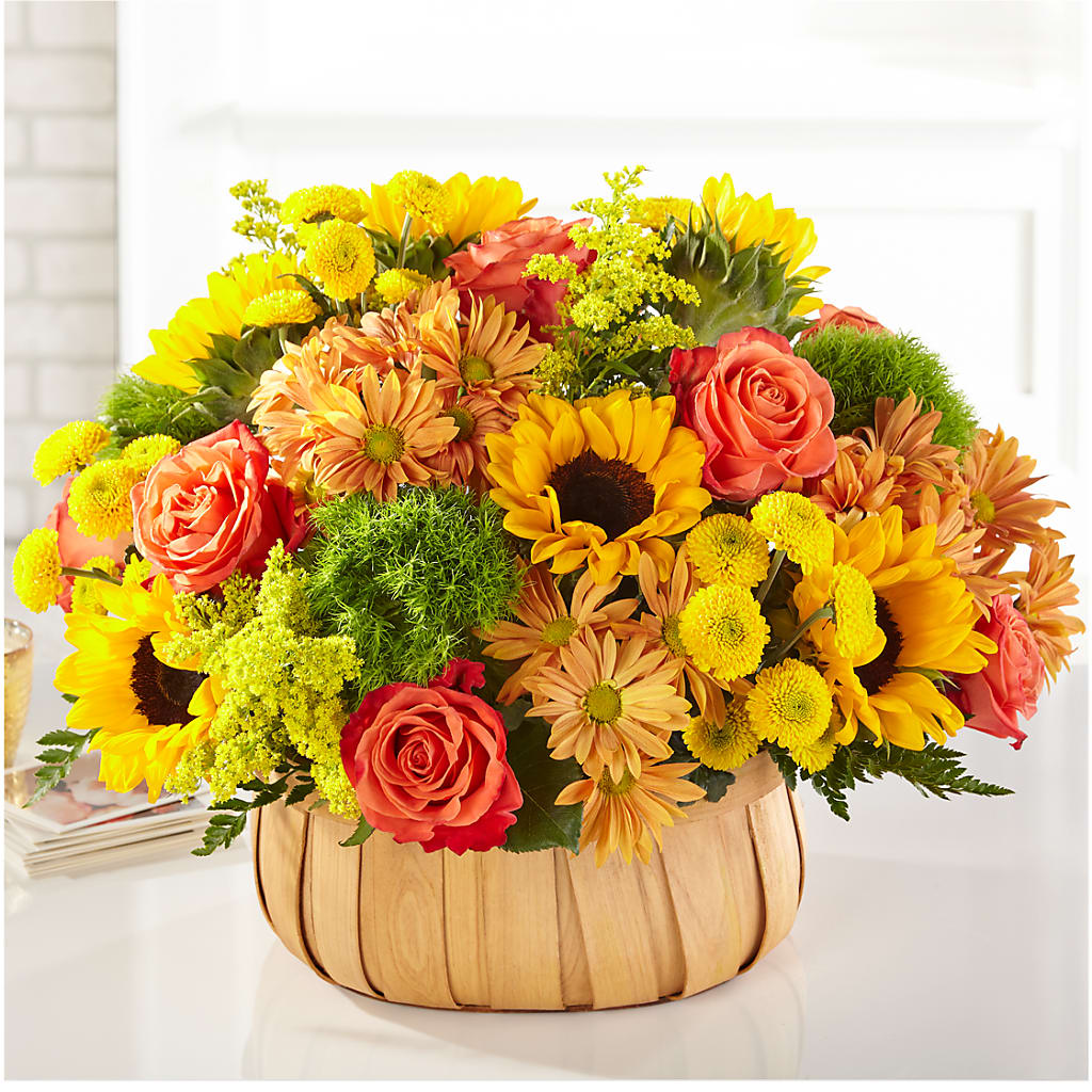 Harvest Sunflower Basket – Floristo Bermeo Ii, Big Lake MN