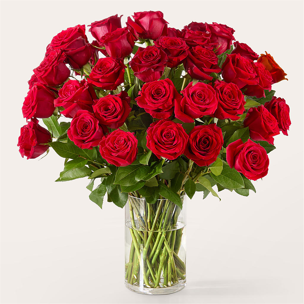 The One Red Rose Bouquet – Floristo Bermeo Ii, Big Lake MN