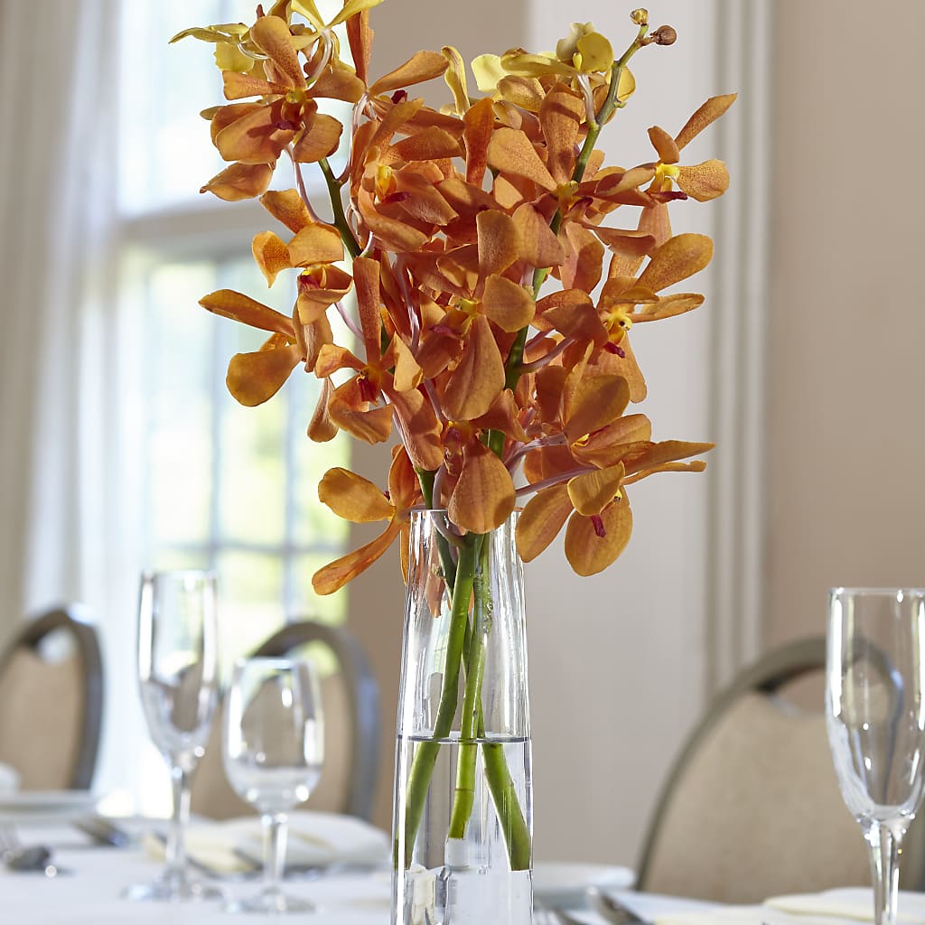 Orange Mokara Bud Vase – Floristo Bermeo Ii, Big Lake MN