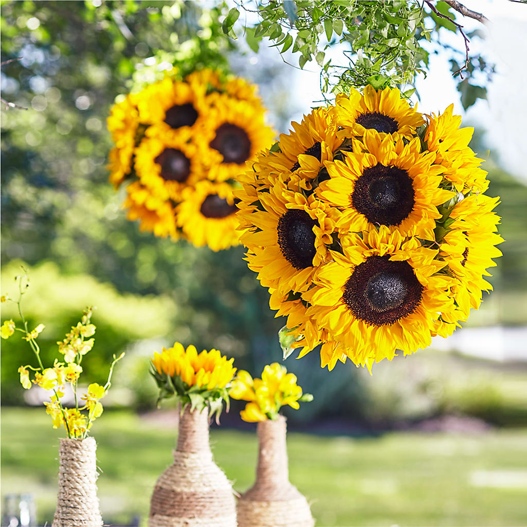 Sublime Garden Hanging Arrangement – Floristo Bermeo Ii, Big Lake MN