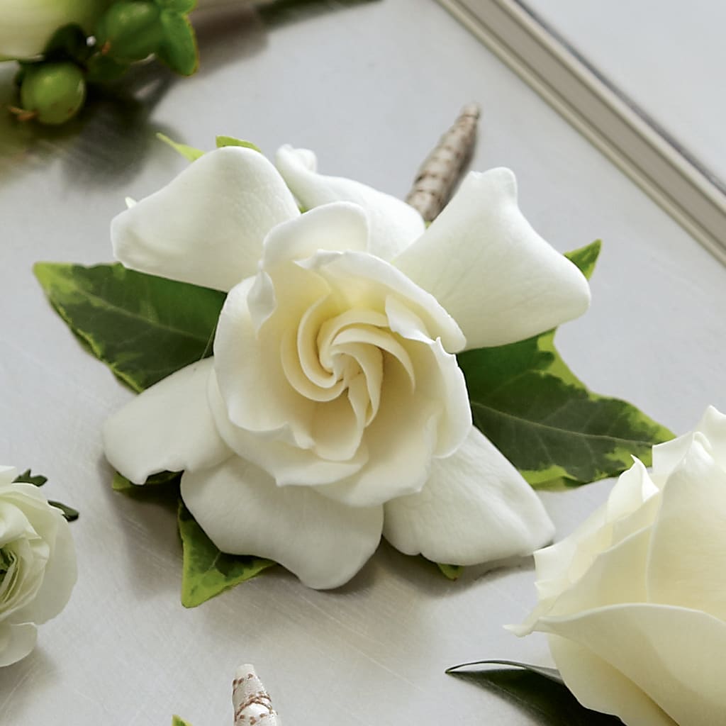 Gardenia Boutonniere – Floristo Bermeo Ii, Big Lake MN