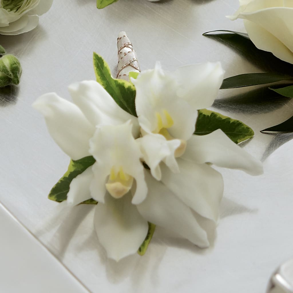 White Mini Cymbidium Boutonniere – Floristo Bermeo Ii, Big Lake MN
