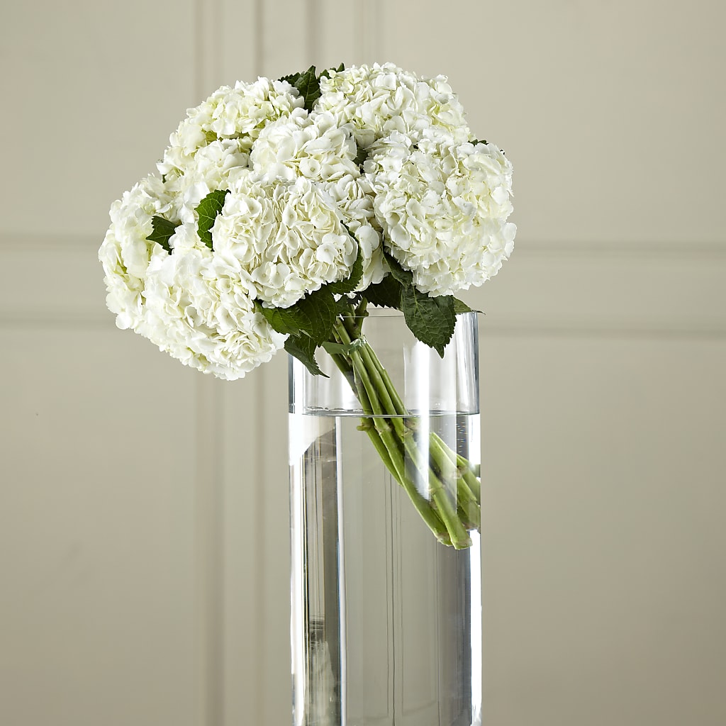 White Hydrangea Hand-Tied Bouquet – Floristo Bermeo Ii, Big Lake MN
