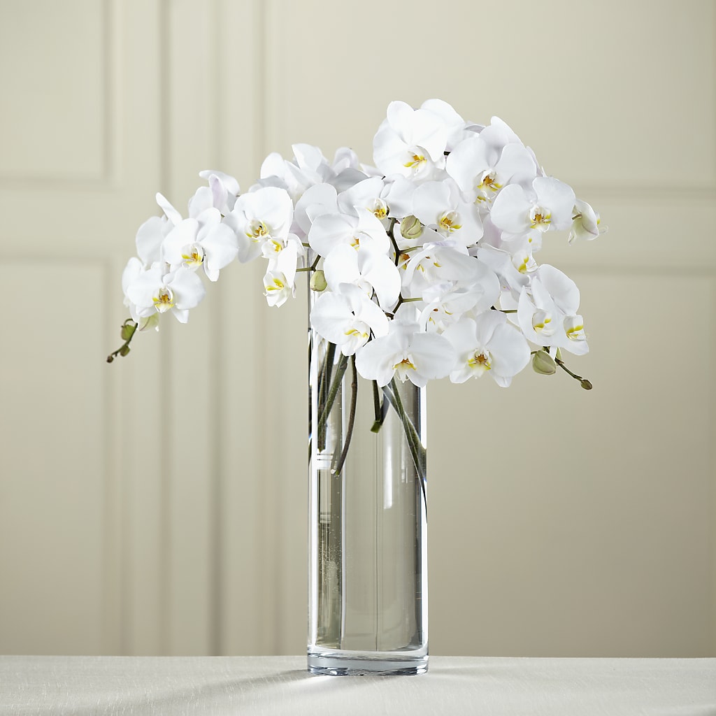 White Phalaenopsis Bouquet – Floristo Bermeo Ii, Big Lake MN