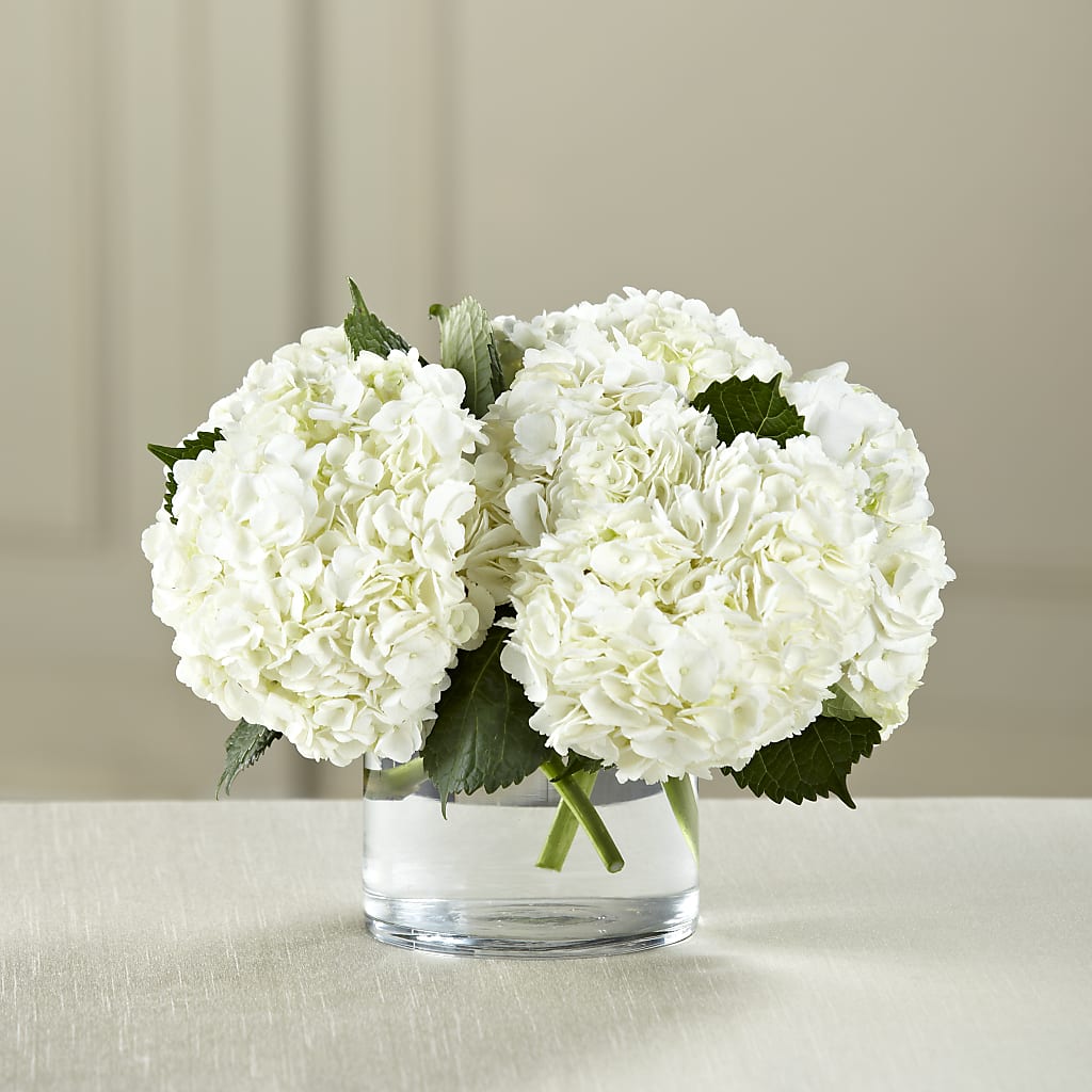 White Hydrangea Bouquet – Floristo Bermeo Ii, Big Lake MN