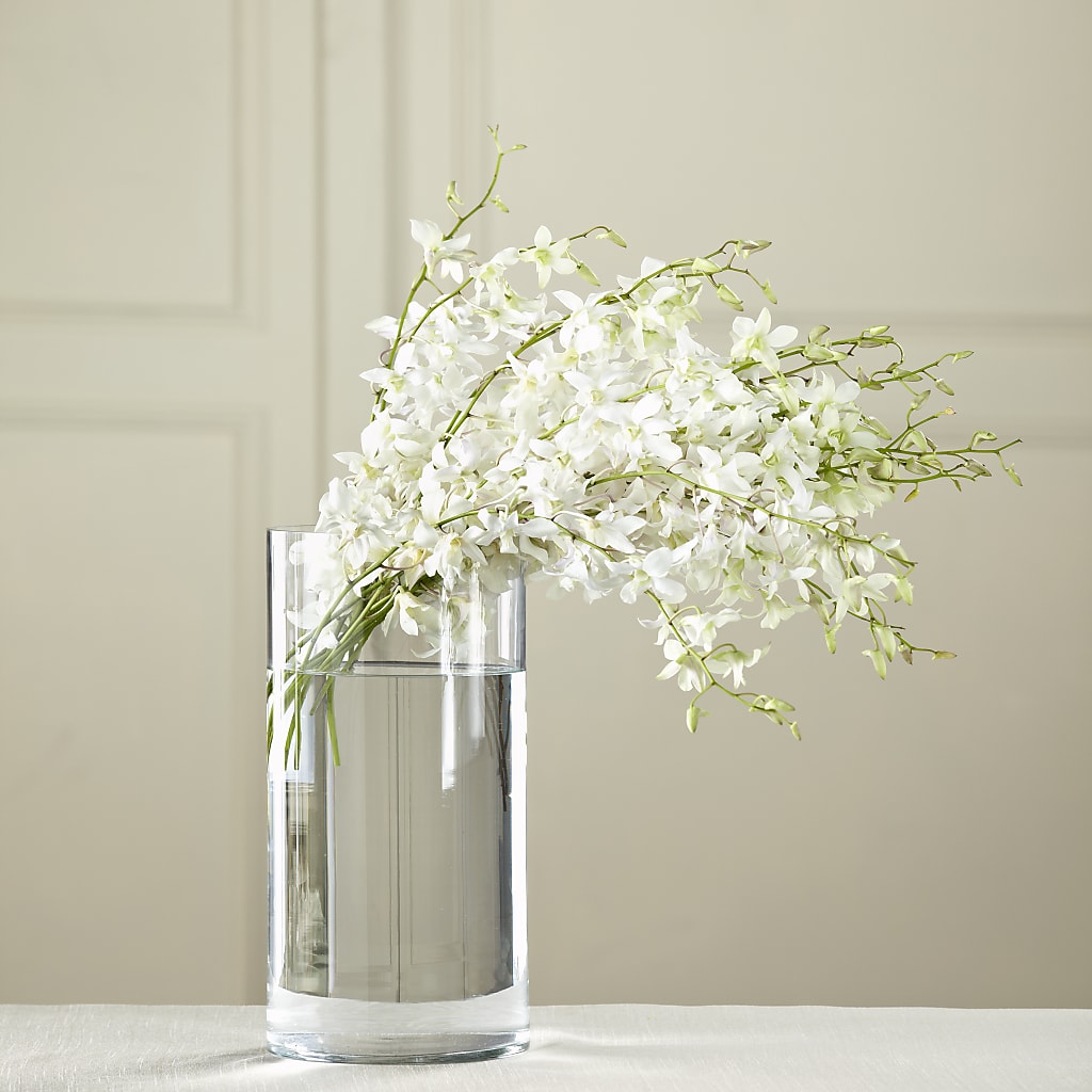 White Dendrobium Bouquet – Floristo Bermeo Ii, Big Lake MN