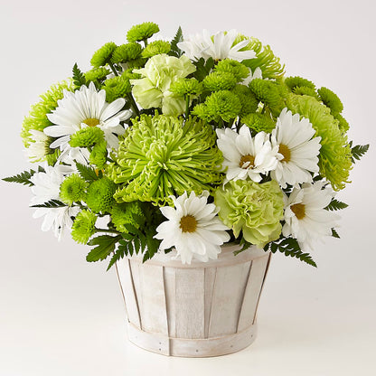 Lucky Charm Basket (Standard) –  Floristo Bermeo Ii, Big Lake MN