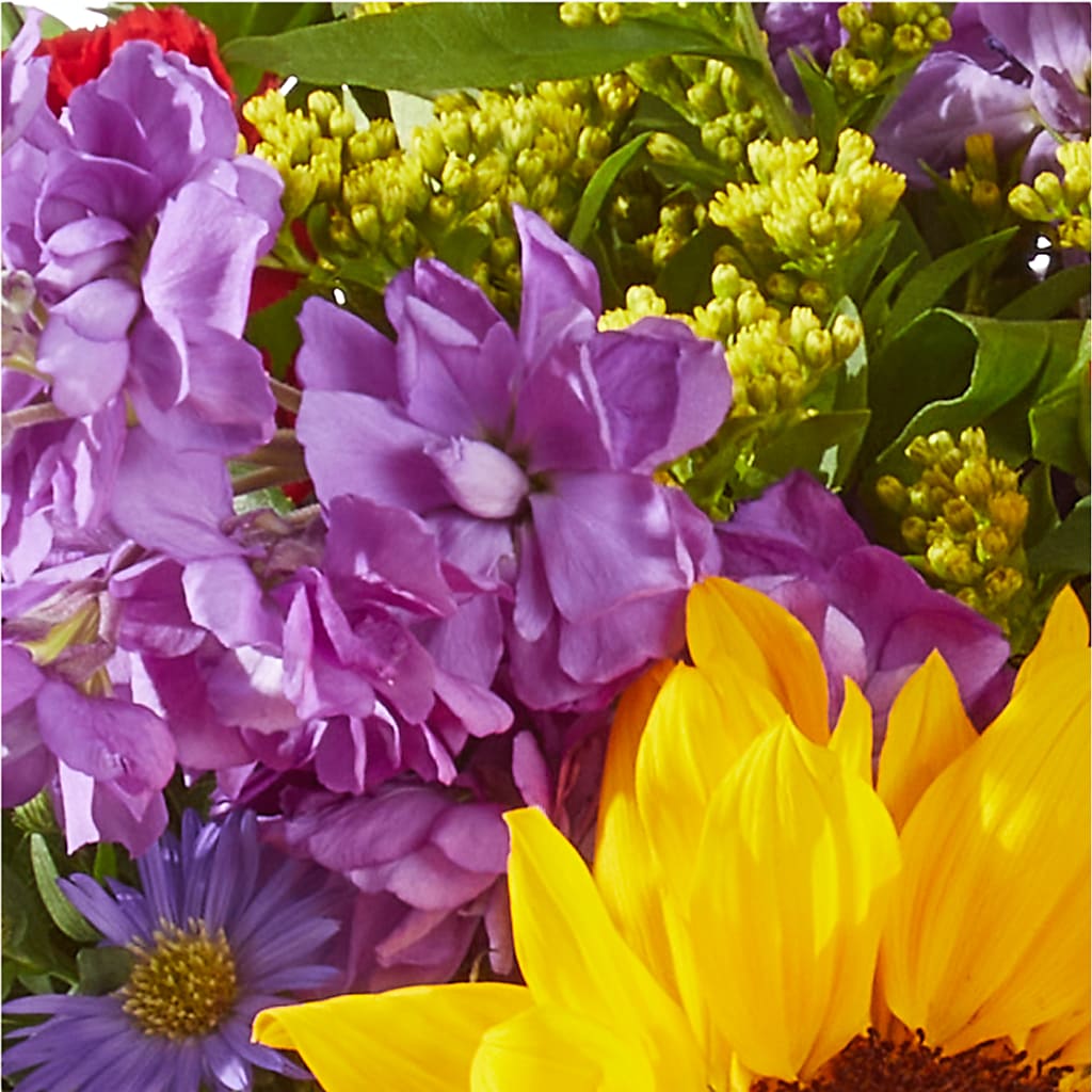 Celebrating You Bouquet –  Floristo Bermeo Ii, Big Lake MN