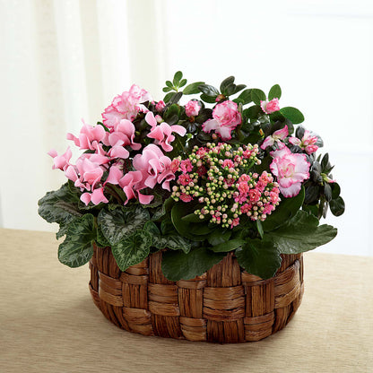 Pink Assortment –  Floristo Bermeo Ii, Big Lake MN