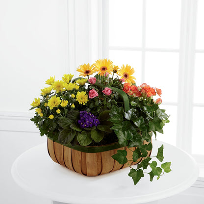 Gentle Blossoms Basket –  Floristo Bermeo Ii, Big Lake MN