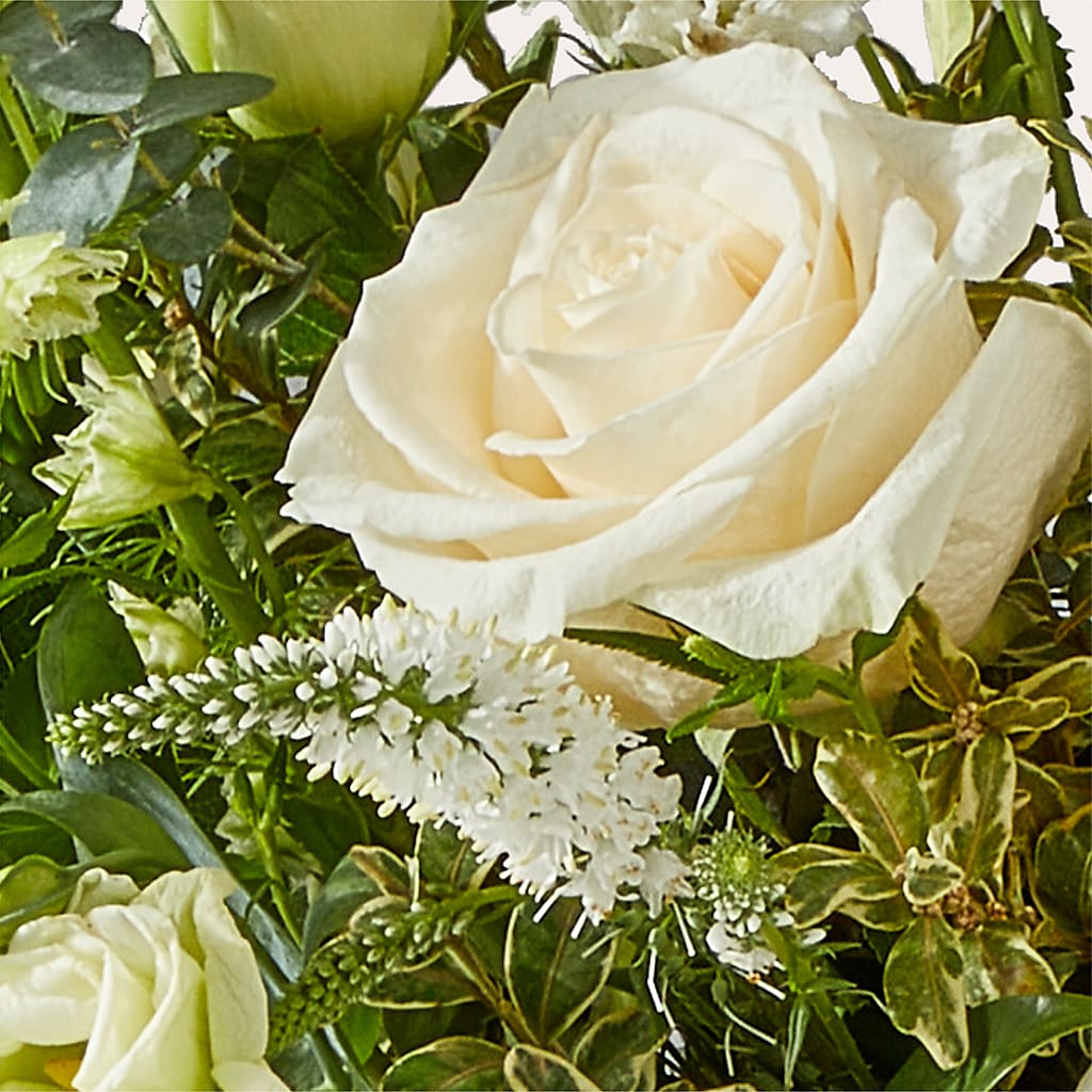 Cashmere Bouquet –  Floristo Bermeo Ii, Big Lake MN