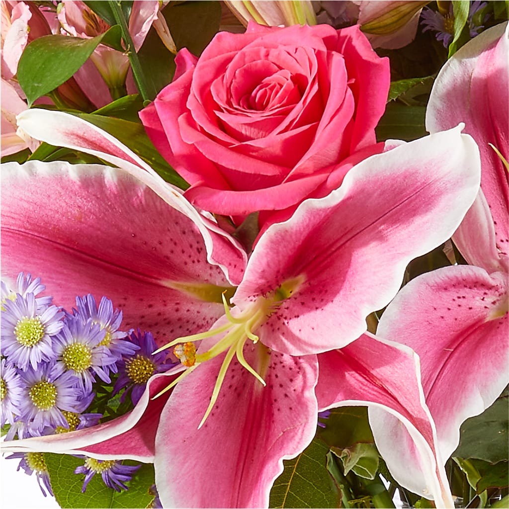 Written in the Stars Bouquet –  Floristo Bermeo Ii, Big Lake MN