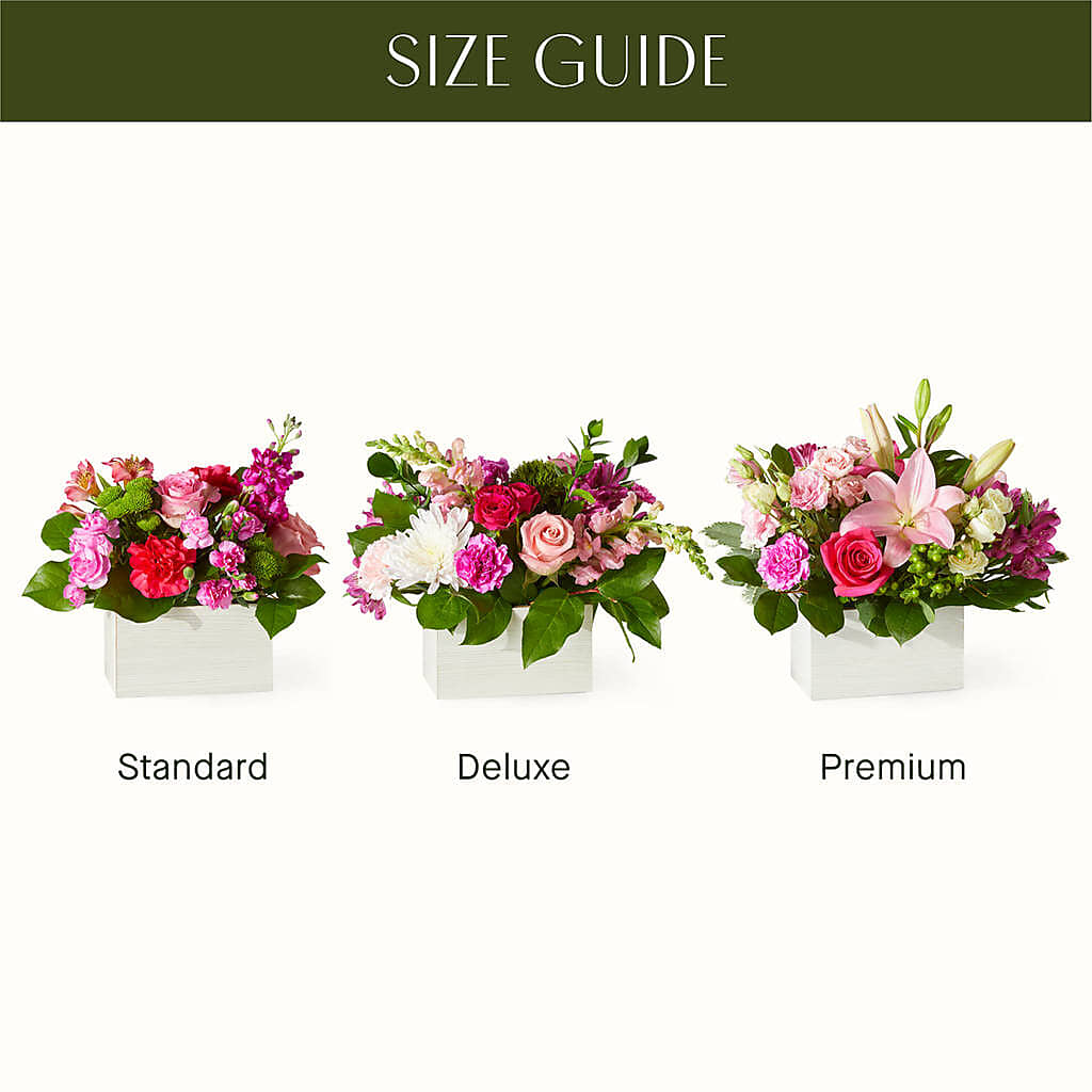 Sweetberry Box – A Florist Original –  Floristo Bermeo Ii, Big Lake MN