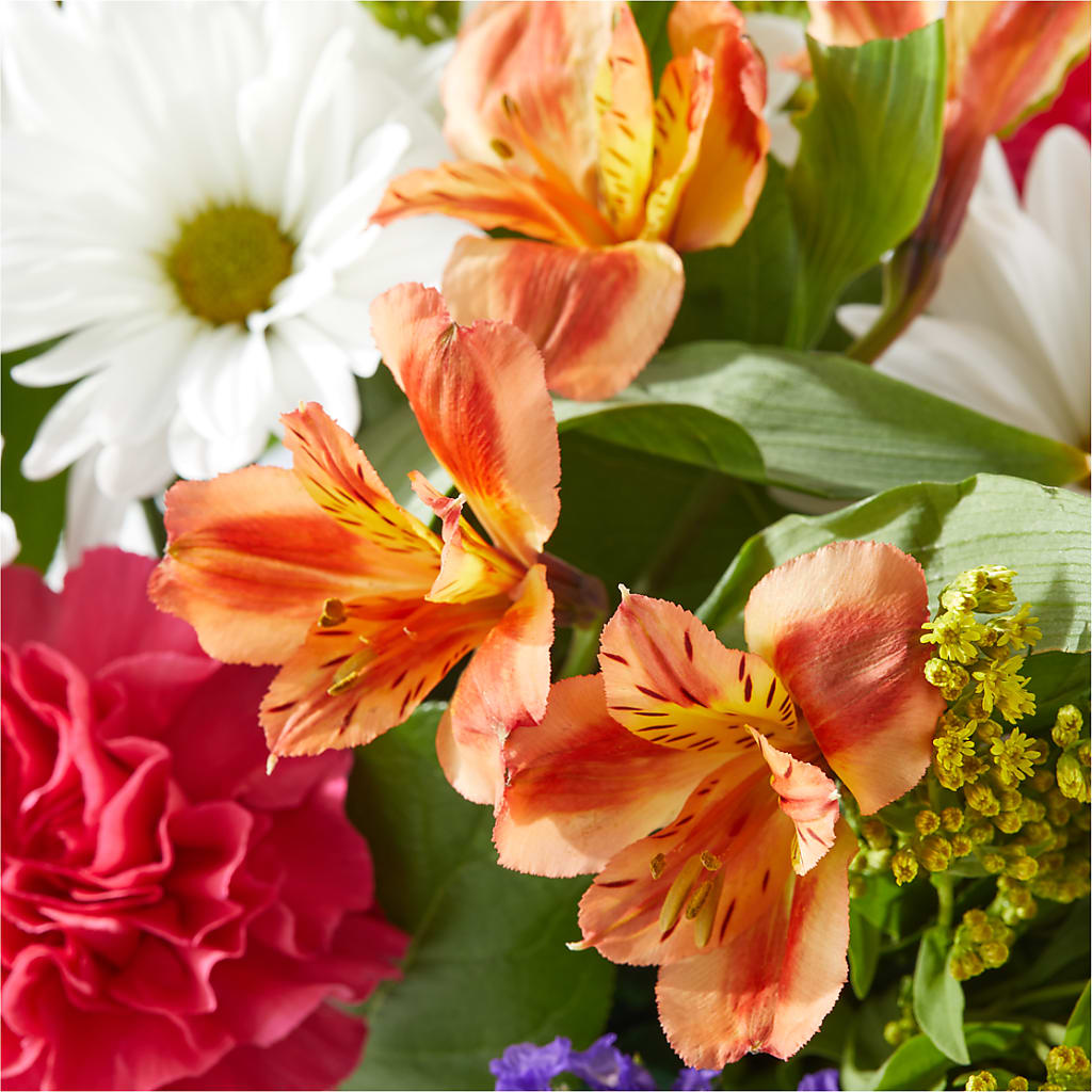 Oopsie Daisy Box Bouquet –  Floristo Bermeo Ii, Big Lake MN