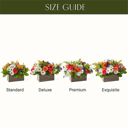 Oopsie Daisy Box Bouquet –  Floristo Bermeo Ii, Big Lake MN