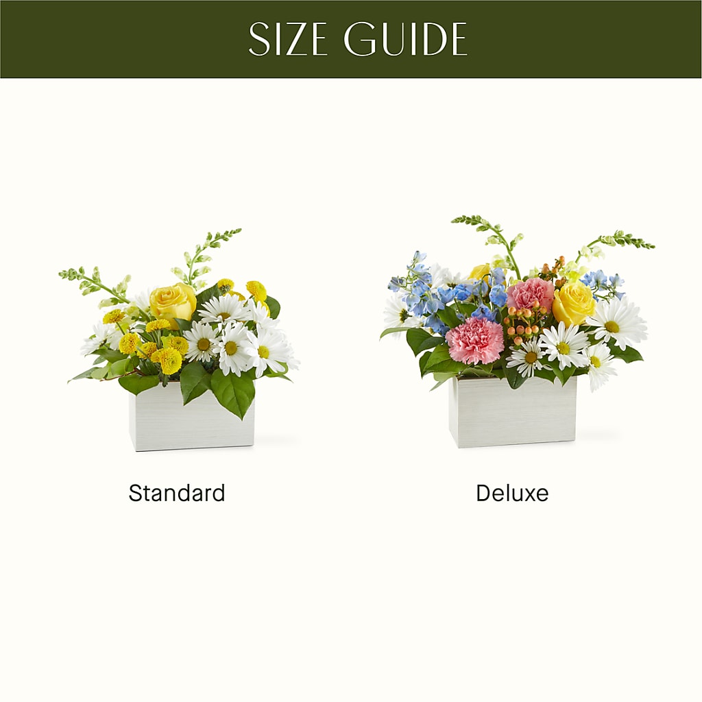 Sun Salutation Box Bouquet –  Floristo Bermeo Ii, Big Lake MN