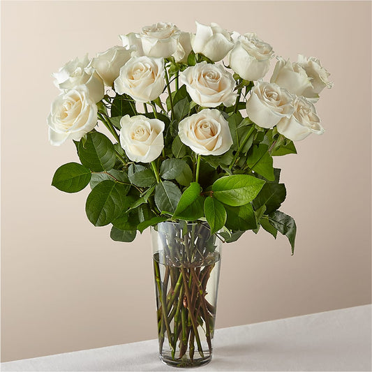 Long Stem White Rose Bouquet –  Floristo Bermeo Ii, Big Lake MN