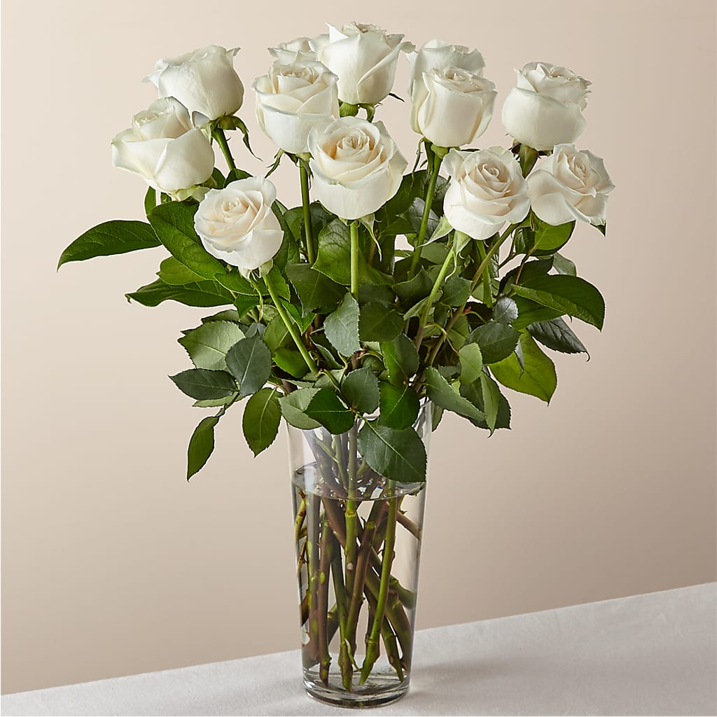 Long Stem White Rose Bouquet –  Floristo Bermeo Ii, Big Lake MN