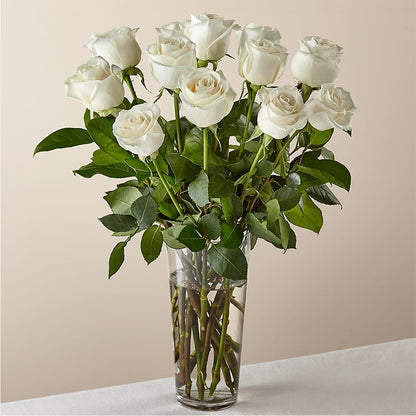 Long Stem White Rose Bouquet –  Floristo Bermeo Ii, Big Lake MN