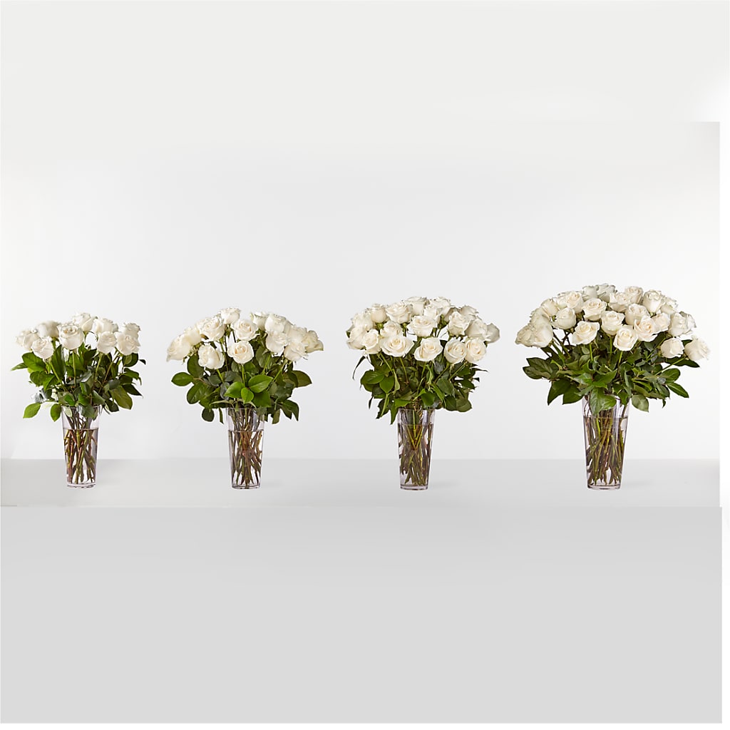Long Stem White Rose Bouquet –  Floristo Bermeo Ii, Big Lake MN
