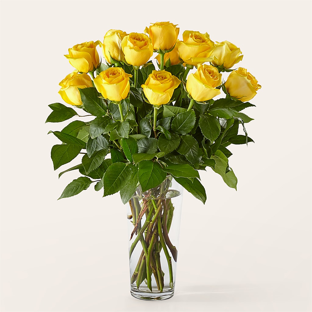 Long Stem Yellow Rose Bouquet –  Floristo Bermeo Ii, Big Lake MN