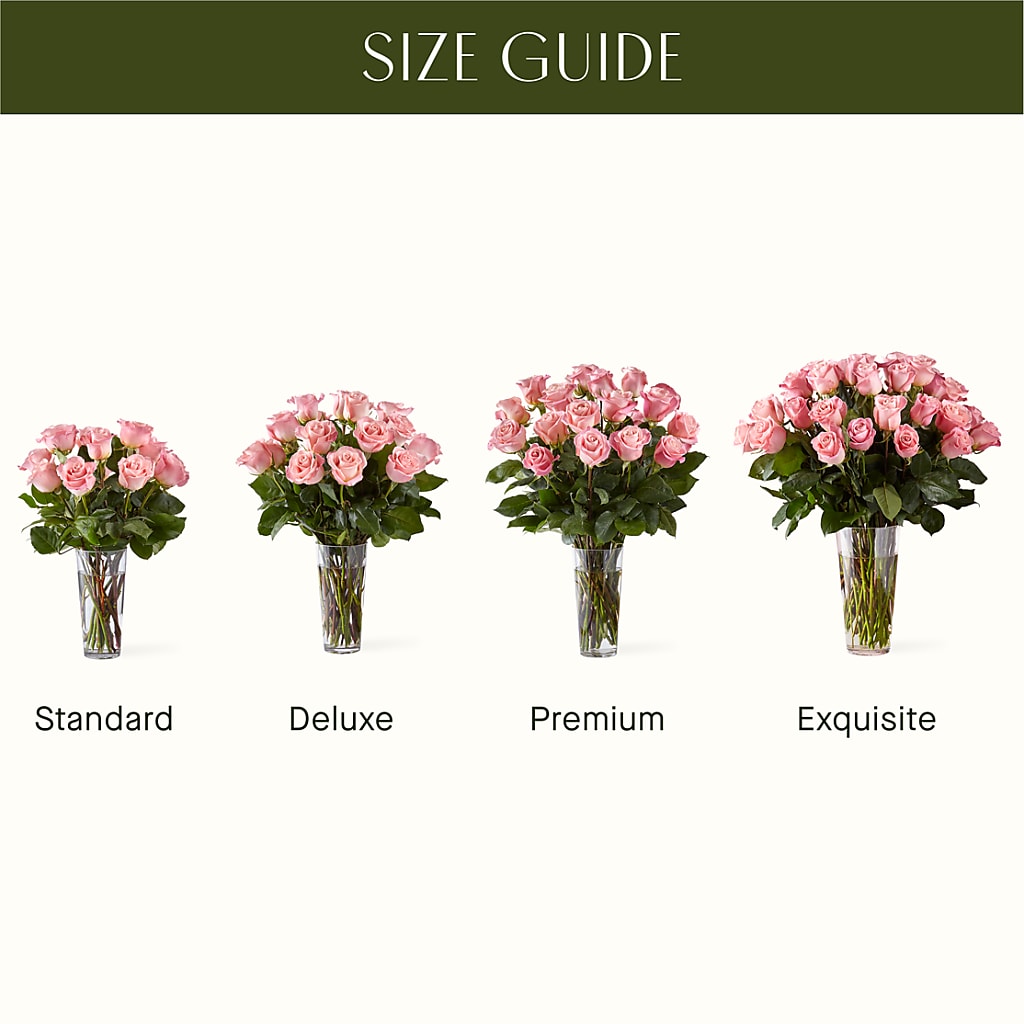 Long Stem Pink Rose Bouquet –  Floristo Bermeo Ii, Big Lake MN