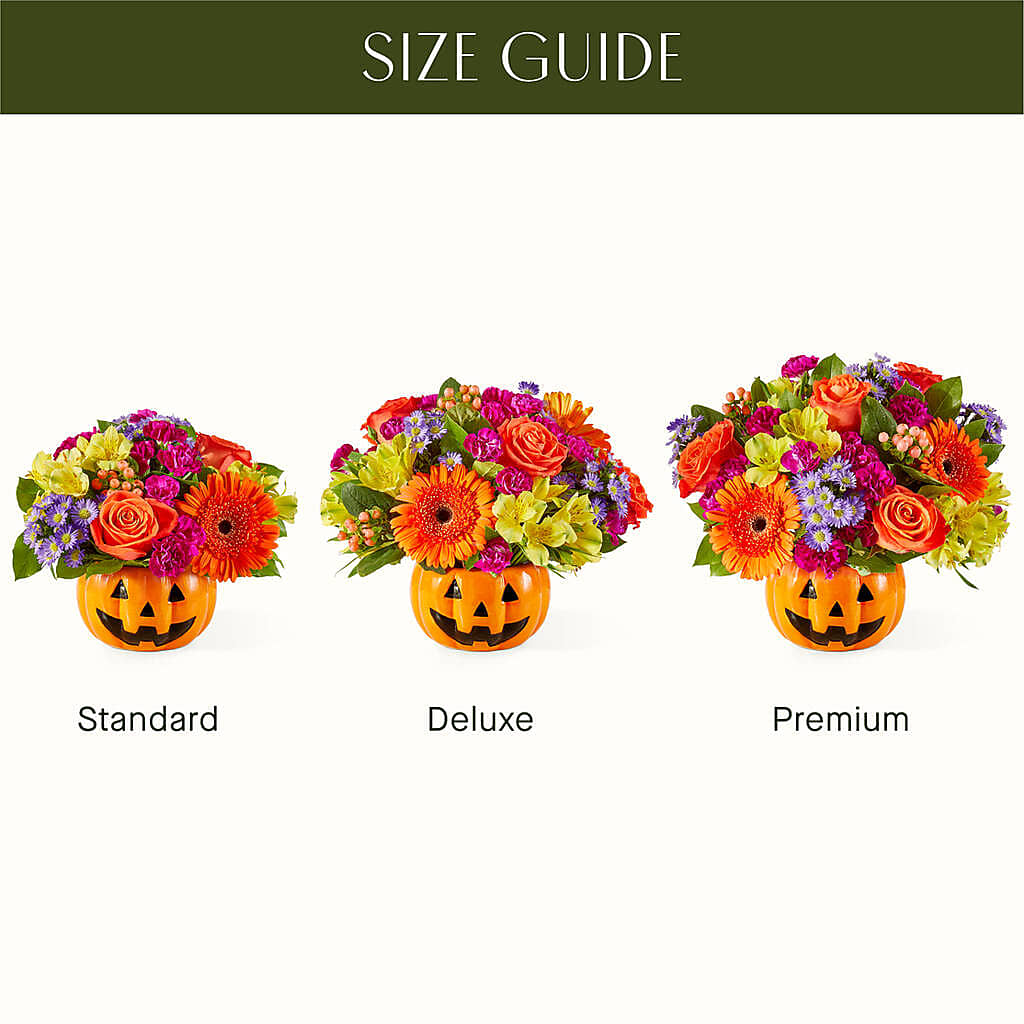 Tricks & Treats Pumpkin –  Floristo Bermeo Ii, Big Lake MN