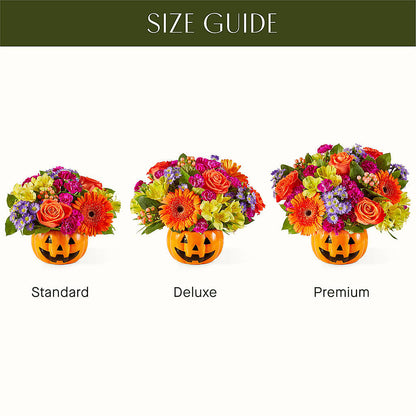 Tricks & Treats Pumpkin –  Floristo Bermeo Ii, Big Lake MN