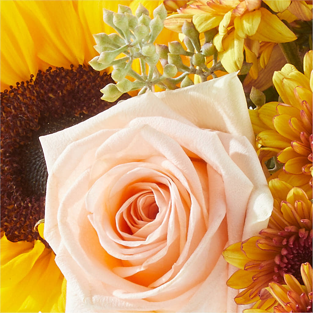 Pumpkin to Talk About Bouquet –  Floristo Bermeo Ii, Big Lake MN