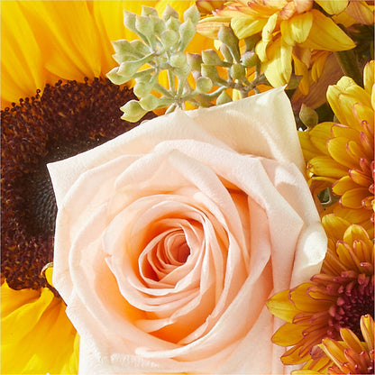 Pumpkin to Talk About Bouquet –  Floristo Bermeo Ii, Big Lake MN