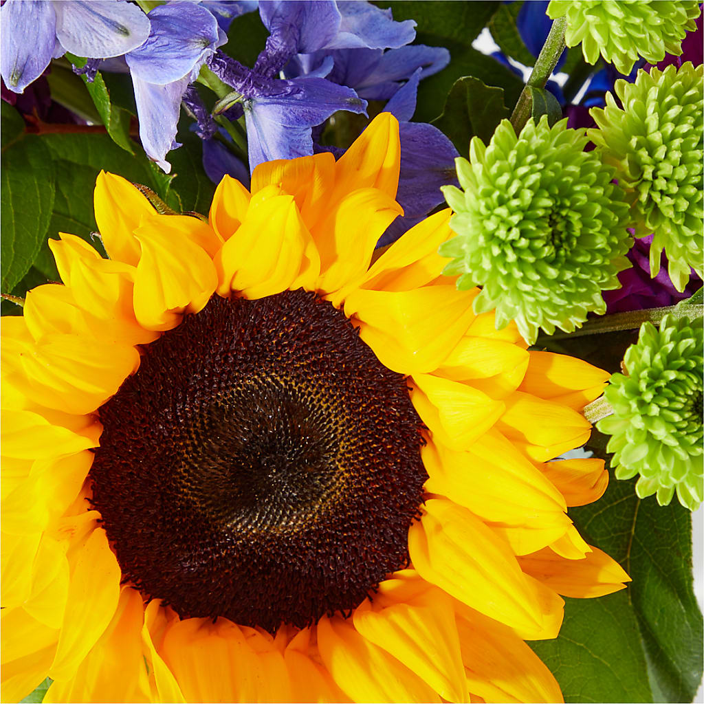 Catching Rays Bouquet –  Floristo Bermeo Ii, Big Lake MN
