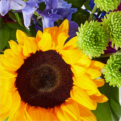 Catching Rays Bouquet –  Floristo Bermeo Ii, Big Lake MN