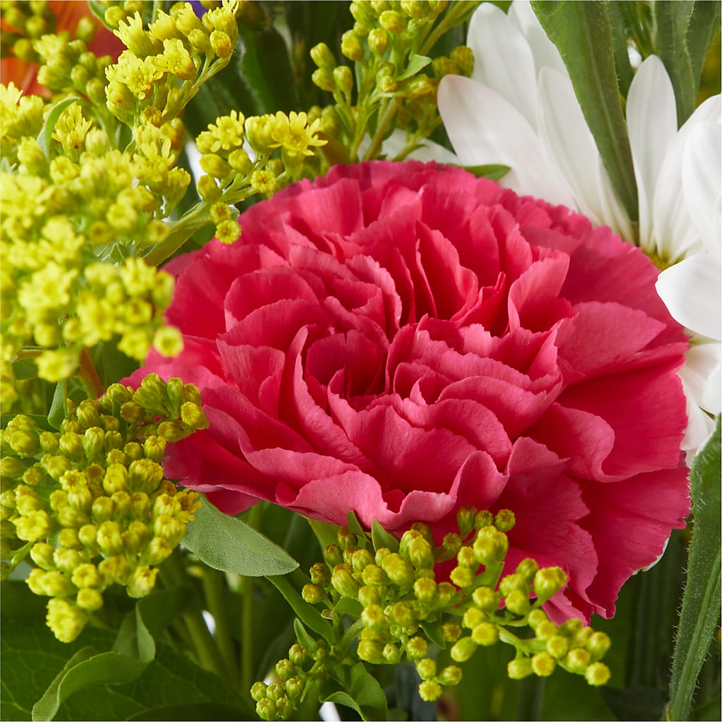Oopsie Daisy Bouquet –  Floristo Bermeo Ii, Big Lake MN