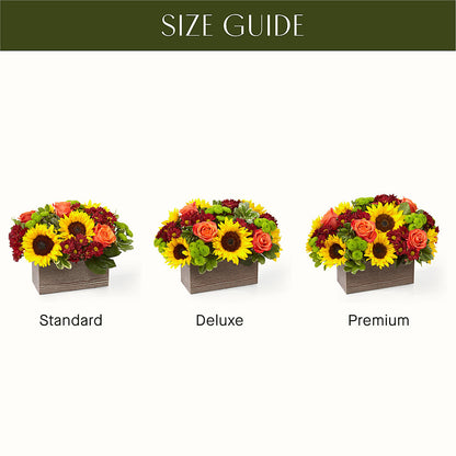 Happy Harvest Garden –  Floristo Bermeo Ii, Big Lake MN