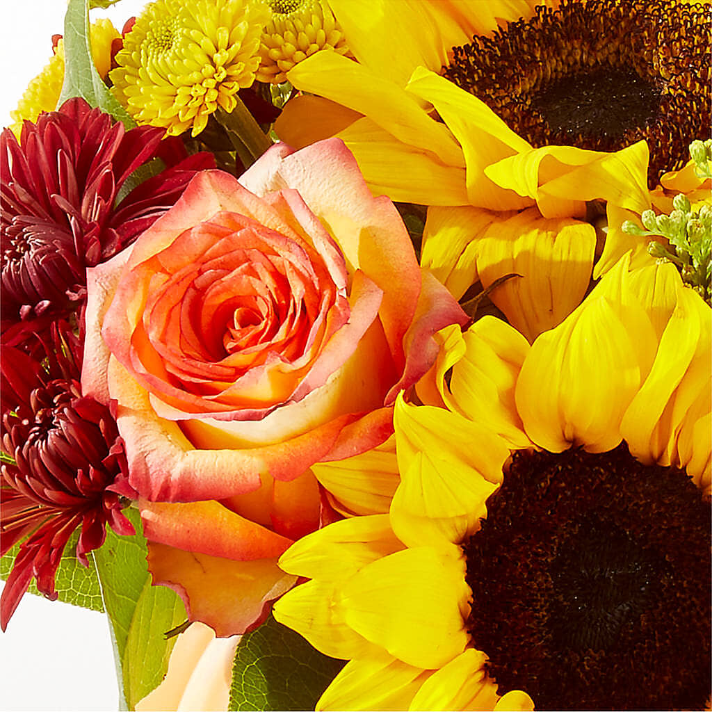 Golden Gourd Pumpkin Bouquet –  Floristo Bermeo Ii, Big Lake MN