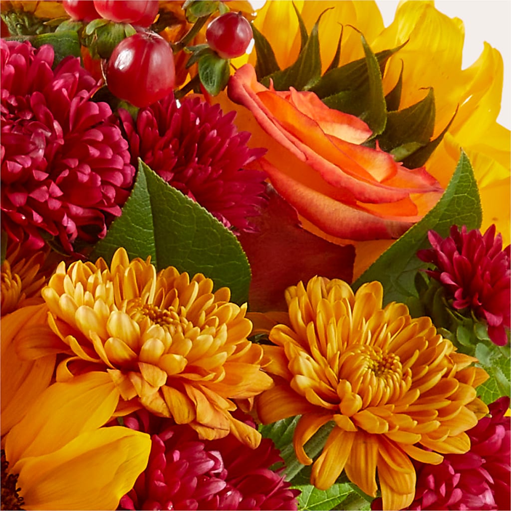 Sweater Season - A Florist Original –  Floristo Bermeo Ii, Big Lake MN
