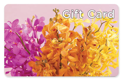 Gift Card –  Floristo Bermeo Ii, Big Lake MN