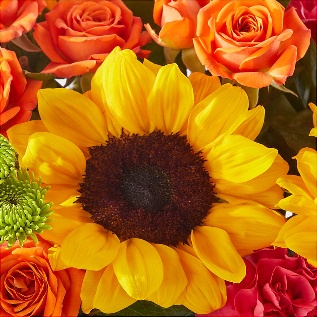 Sun-drenched Blooms Box Bouquet –  Floristo Bermeo Ii, Big Lake MN