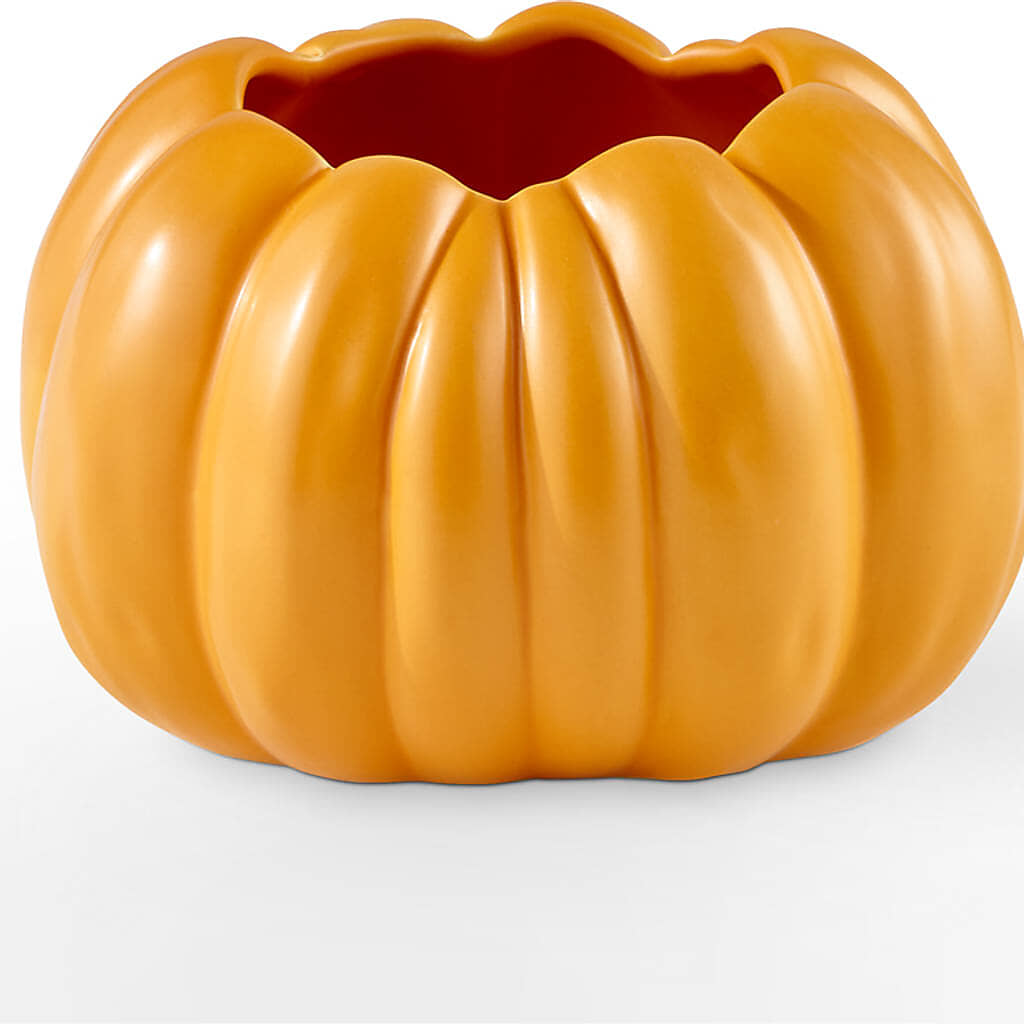 Golden Gourd Pumpkin Bouquet –  Floristo Bermeo Ii, Big Lake MN
