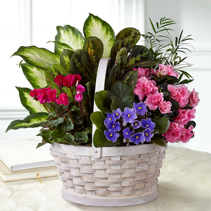 Peaceful Garden Planter –  Floristo Bermeo Ii, Big Lake MN