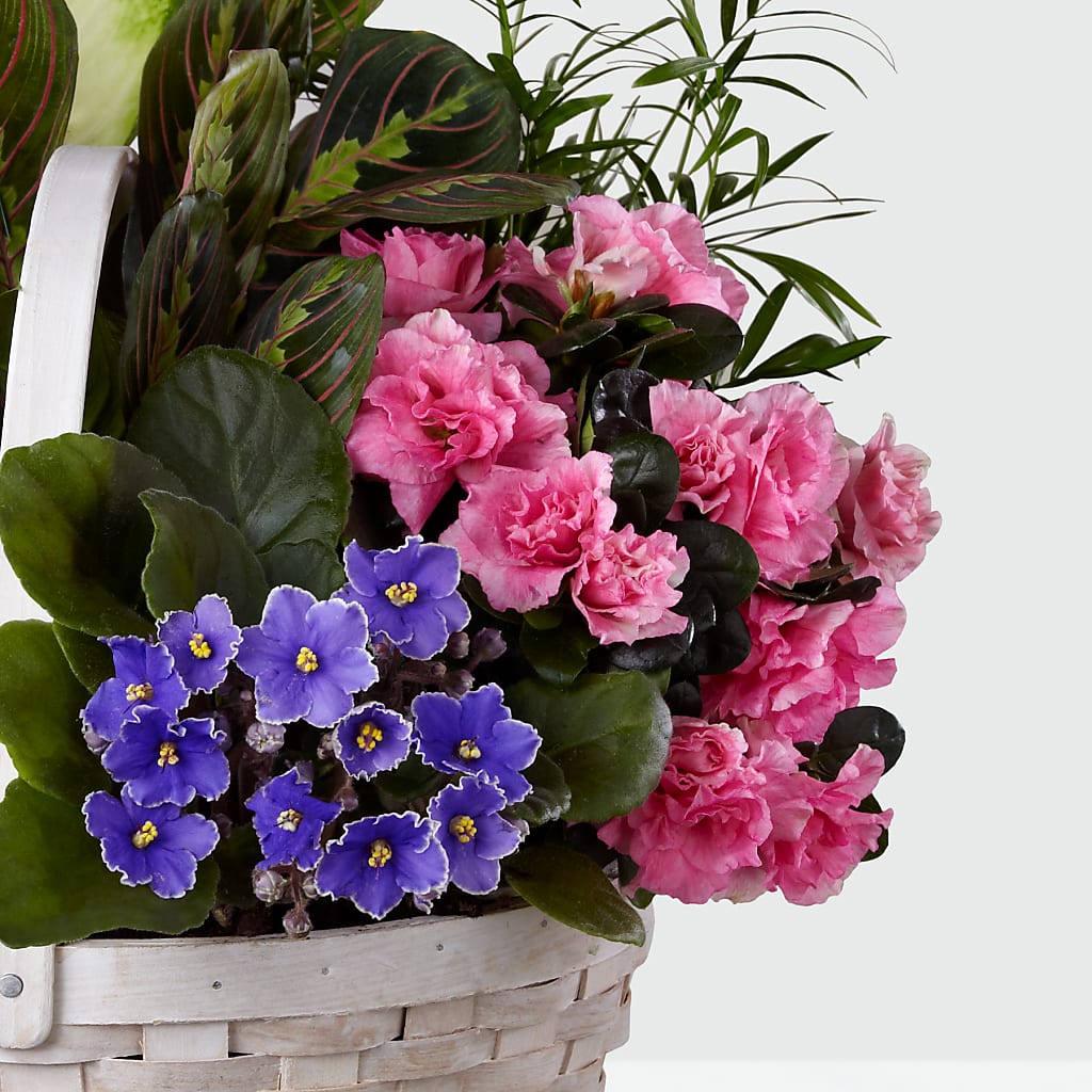 Peaceful Garden Planter –  Floristo Bermeo Ii, Big Lake MN