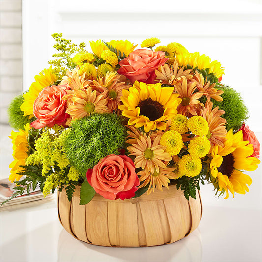 Harvest Sunflower Basket –  Floristo Bermeo Ii, Big Lake MN