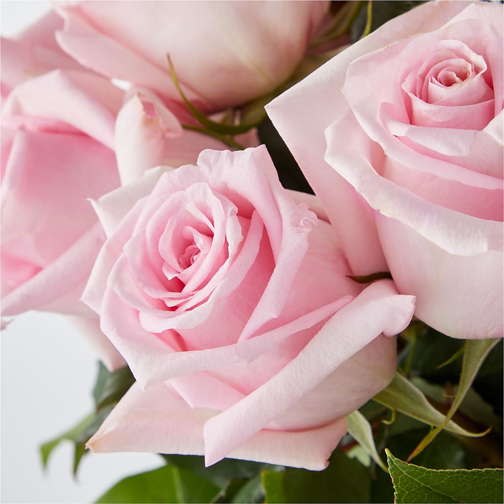 Picture Perfect Pink Rose Bouquet –  Floristo Bermeo Ii, Big Lake MN